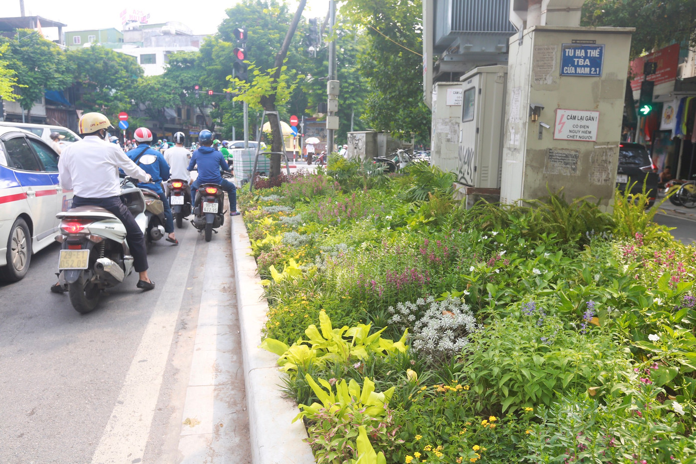 Những thảm hoa rực rỡ bám sát rìa đường.