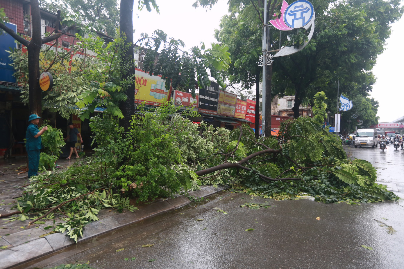Cây gãy đổ hàng loạt trên đường Nguyễn Trãi (quận Thanh Xuân).