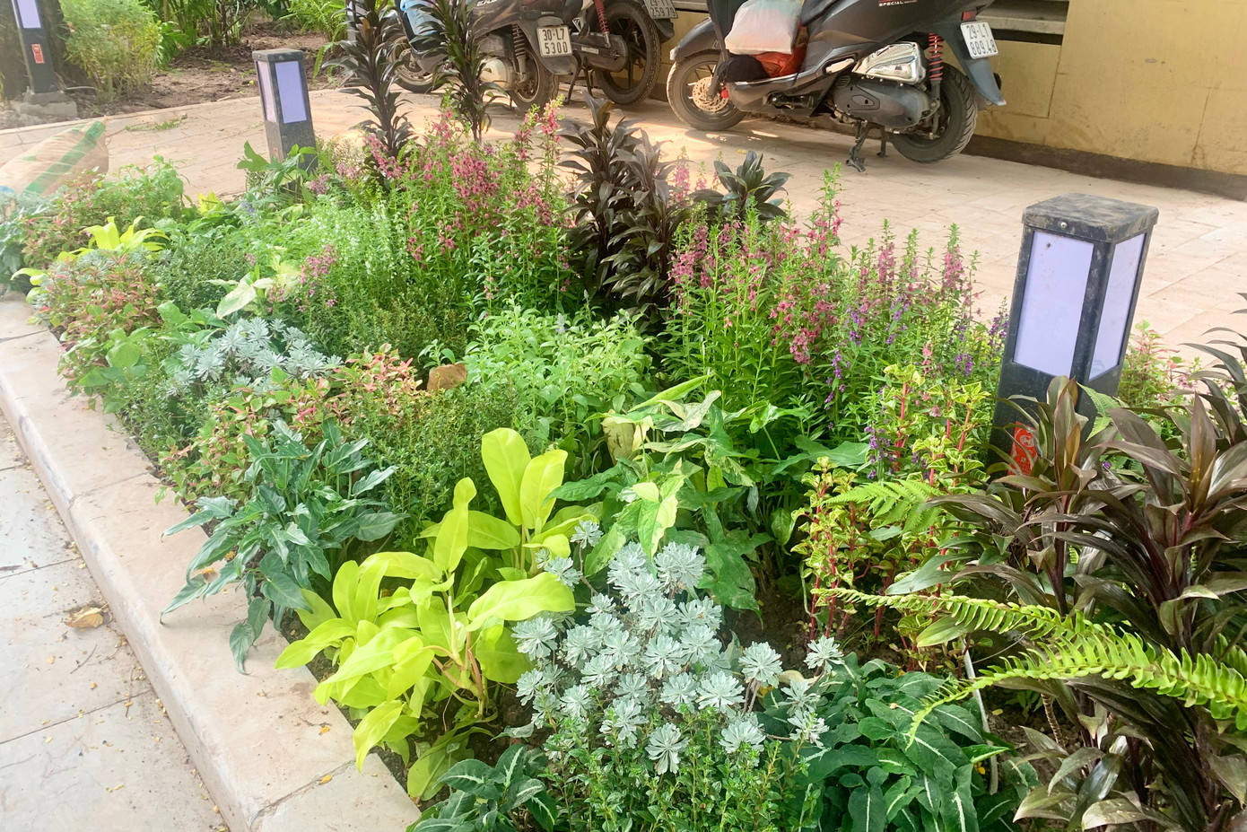 Khu vực bồn hoa được trồng đa dạng các loài mang đến nhiều màu sắc rực rỡ.