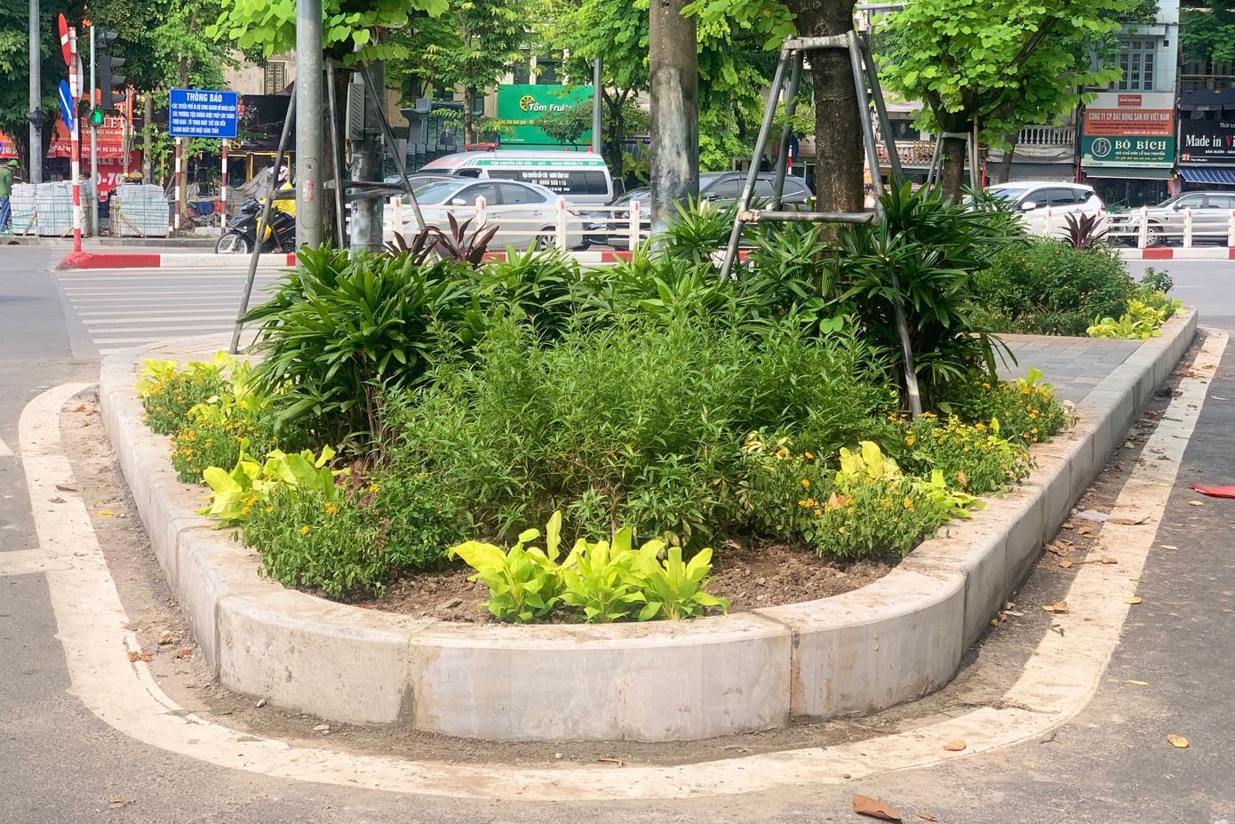 Bồn hoa nằm ngay ở góc ngã tư, ngay sát đường nhưng vẫn xanh mướt.