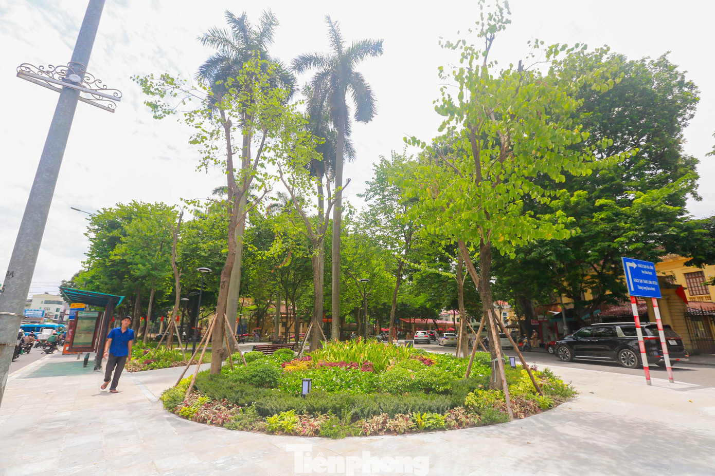 Bồn hoa với thảm hoa đa dạng, có cây bóng mát đường kính lớn đến 10 m2, phủ bóng lên đến 54,3% diện tích toàn vườn.