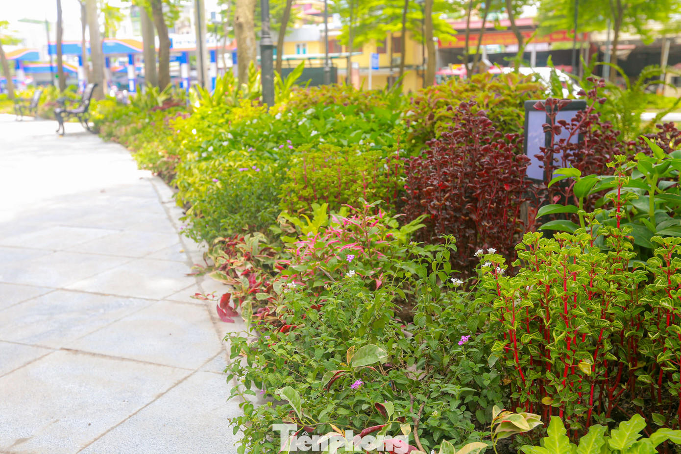 Vườn hoa Bác Cổ nằm trong 10 công viên, vườn hoa cần cải tạo, nâng cấp của quận Hoàn Kiếm trong giai đoạn 2021-2025 theo số liệu báo cáo của Sở Xây dựng Hà Nội.