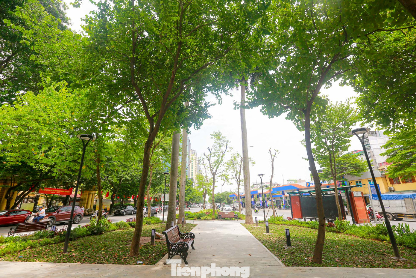 Vườn hoa có tổng diện tích là 3035 m2, có hình dạng tam giác khá rõ rệt. Bố cục vườn hoa không dành một địa điểm nào làm trung tâm và làm điểm nhấn, tuy nhiên mỗi ô hoa đều mang lại một vẻ đặc sắc riêng.