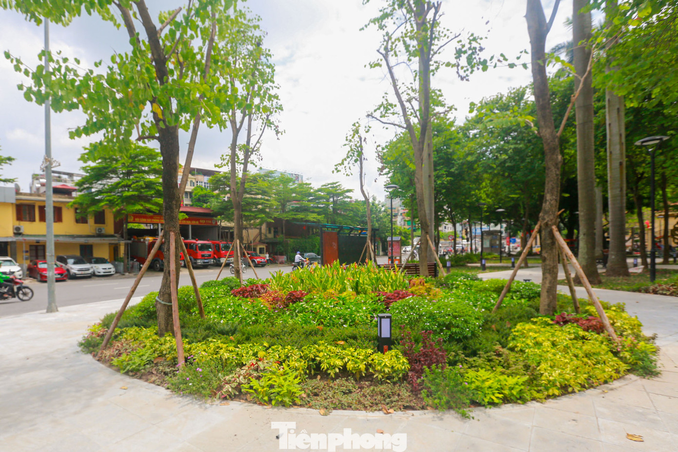 Bồn hoa lớn trồng nhiều loại cây bụi khác nhau với ý tưởng mang rừng cây nhiệt đới vào đô thị.