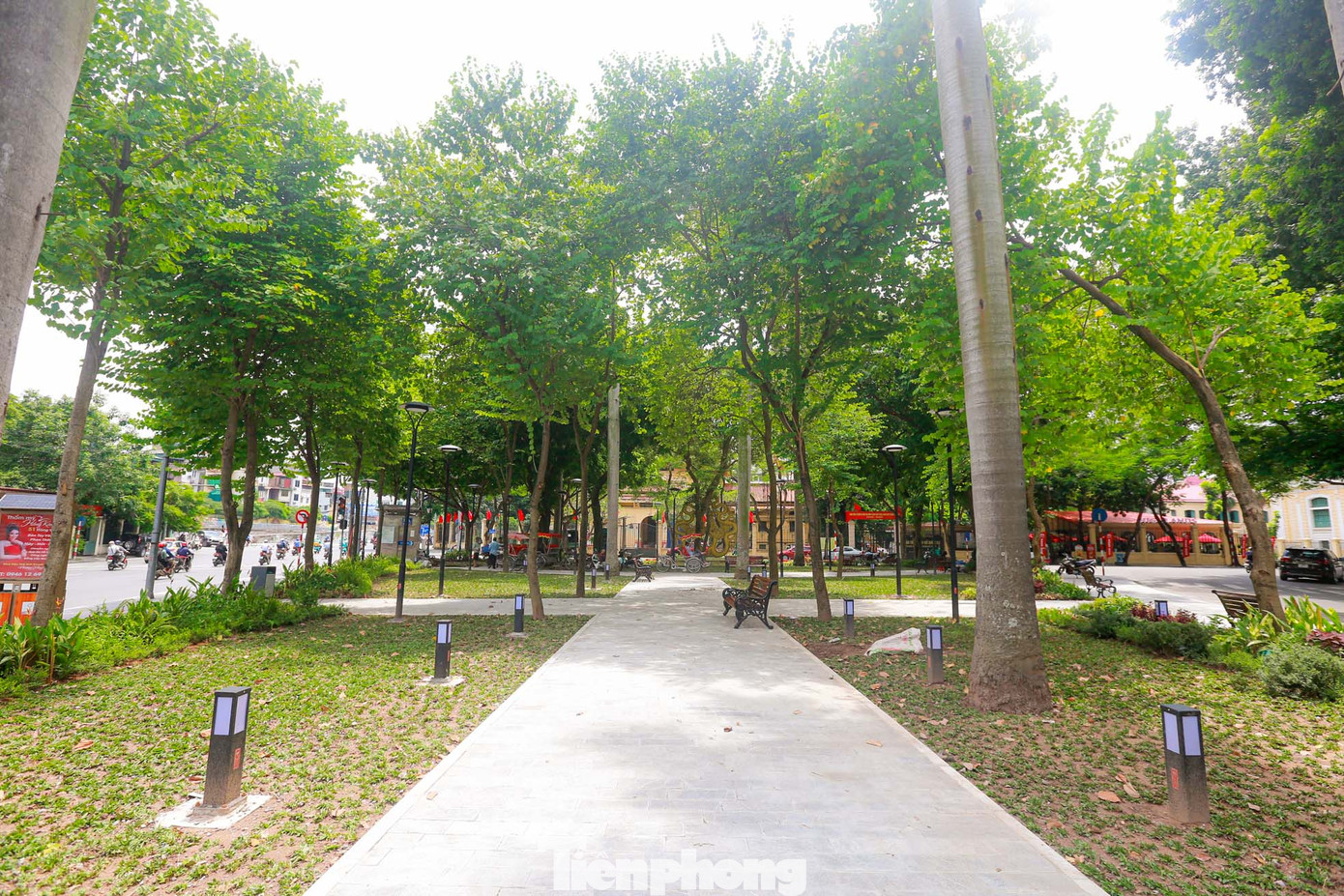 Đường trong vườn hoa tự do, thoải mái và có nhiều khoảng trống lớn.