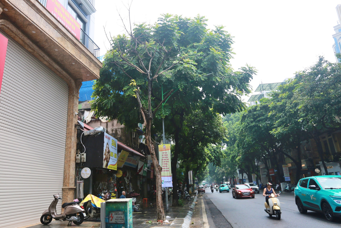 Ghi nhận của PV, tại nhiều tuyến phố trung tâm của Thủ đô như phố Huế, phố Lò Đúc, phố Thi Sách, phố Trần Thái Tông.... xuất hiện nhiều cây xanh, trong đó có nhiều cây cổ thụ chết khô, mục rỗng, trụi lá... tiềm ẩn nguy cơ gãy đổ khi có mưa bão, gây bất an cho người đi đường, người dân sinh sống xung quanh.