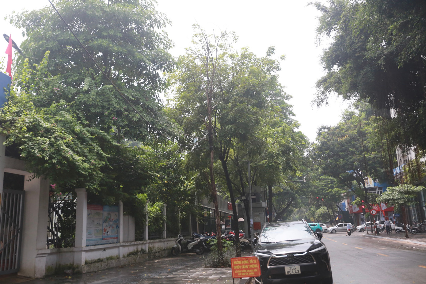 Cây khẳng khiu, trụi lá trên phố Hòa Mã (quận Hai Bà Trưng).