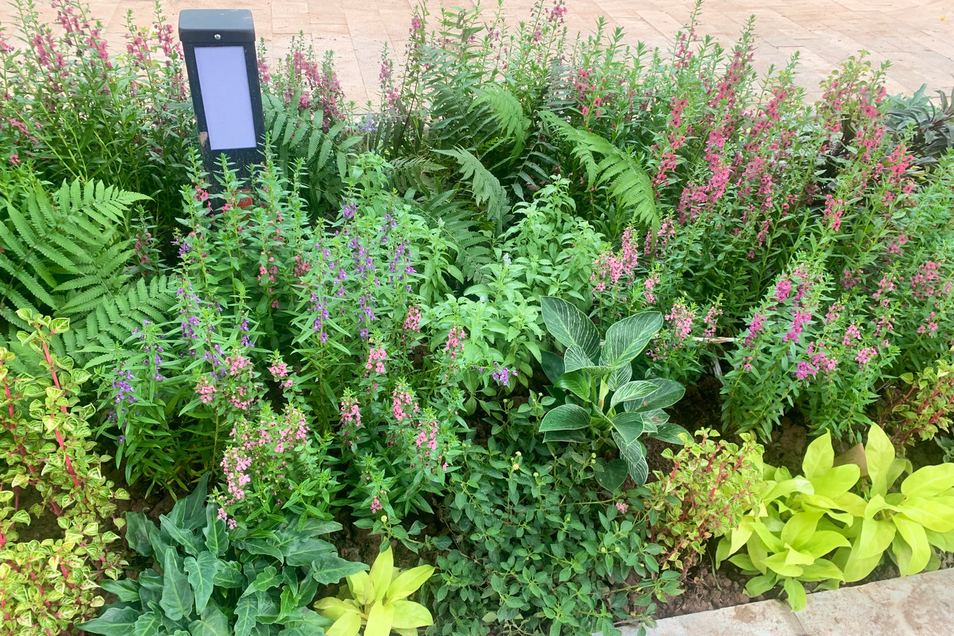 Khu vực bồn hoa được trồng đa dạng các loài mang đến nhiều màu sắc rực rỡ.