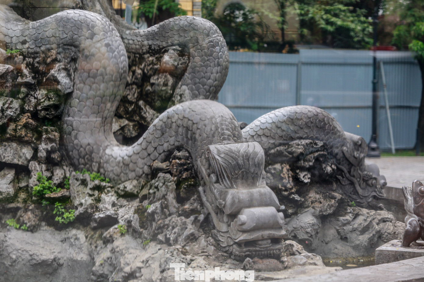 Để phát huy giá trị của một công trình kiến trúc nhỏ nhưng độc đáo này, giữa năm 2023 UBND quận Hoàn Kiếm đã tiếp tục giao nhiệm vụ cho Ban quản lý dự án đầu tư xây dựng quận phối hợp với Đơn vị tư vấn chuyên ngành trên cơ sở tiếp thu ý kiến của các Sở ngành thành phố và các chuyên gia đầu ngành xây dựng phương án Tu bổ đài phun nước Con Cóc.