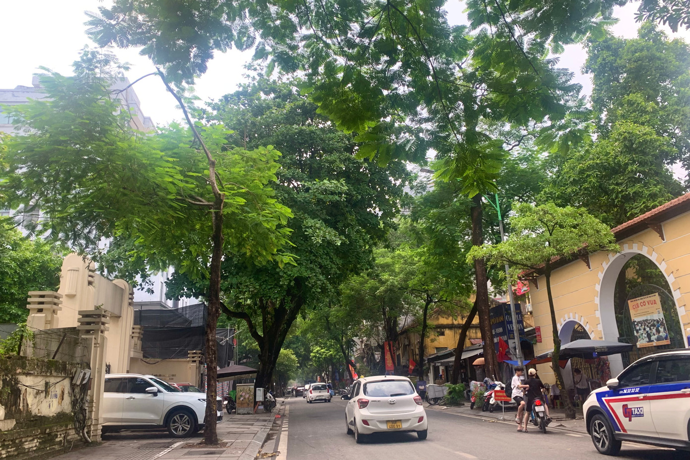 Thống kê sơ bộ, 12 quận có hơn 8.000 cổ thụ, đường kính thân từ 50 cm trở lên. Một số cây già cỗi, có biểu hiện sinh trưởng kém cần thay thế. Ngoài ra, một số loài không thuộc chủng loại cây đô thị như dâu da, vông, trứng cá dễ bị gãy đổ khi gặp mưa gió, quả chín rụng bẩn, thu hút ruồi, nhặng.