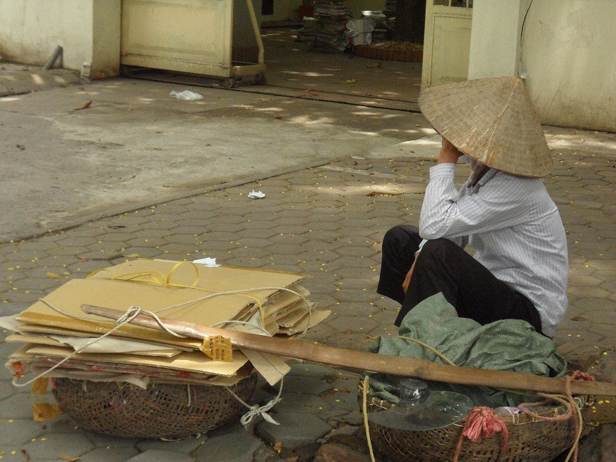 Bơ phờ, mệt mỏi tránh nắng dưới tán cây mỏng manh