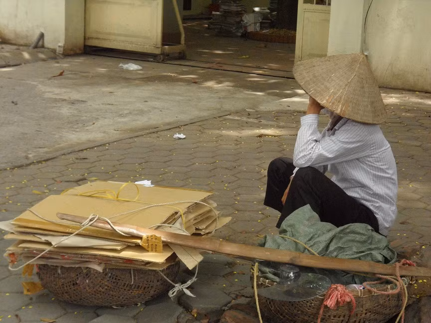 Bơ phờ, mệt mỏi tránh nắng dưới tán cây mỏng manh