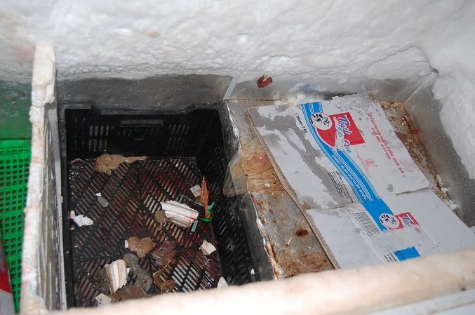 Tủ cấp đông bốc mùi, không đảm bảo ATTP . Tủ cấp đông bốc mùi, không đảm bảo ATTP