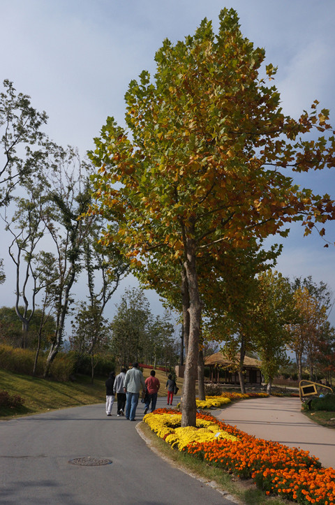 Mùa thu ở miền Nam Hàn Quốc. Mùa thu ở miền Nam Hàn Quốc