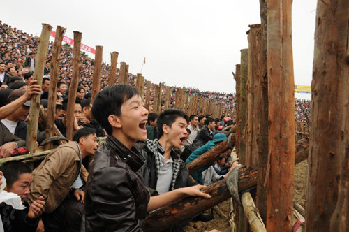 Khán giả hò hét cổ vũ