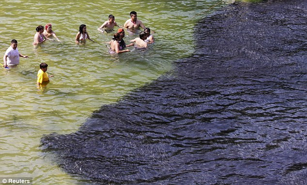 Du khách thỏa thích bắt cá, chiêm ngưỡng sự kiện có một không hai này