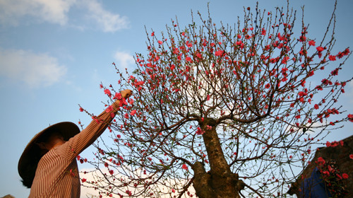 Phố nhỏ Hà Nội chiều 30 Tết Canh Dần 