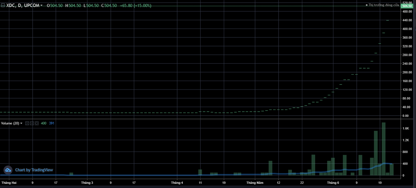 XDC tăng giá 35 lần, đóng cửa phiên hôm nay ở mức 504.500 đồng/cổ phiếu. XDC tăng giá 35 lần, đóng cửa phiên hôm nay ở mức 504.500 đồng/cổ phiếu.