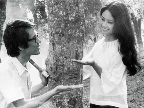 Thị xã trong tầm tay của đạo diễn NSND Đặng Nhật Minh là một trong hai tác phẩm định hình phong cách sáng tạo của nhà biên kịch Trịnh Thanh Nhã. Thị xã trong tầm tay của đạo diễn NSND Đặng Nhật Minh là một trong hai tác phẩm định hình phong cách sáng tạo của nhà biên kịch Trịnh Thanh Nhã.