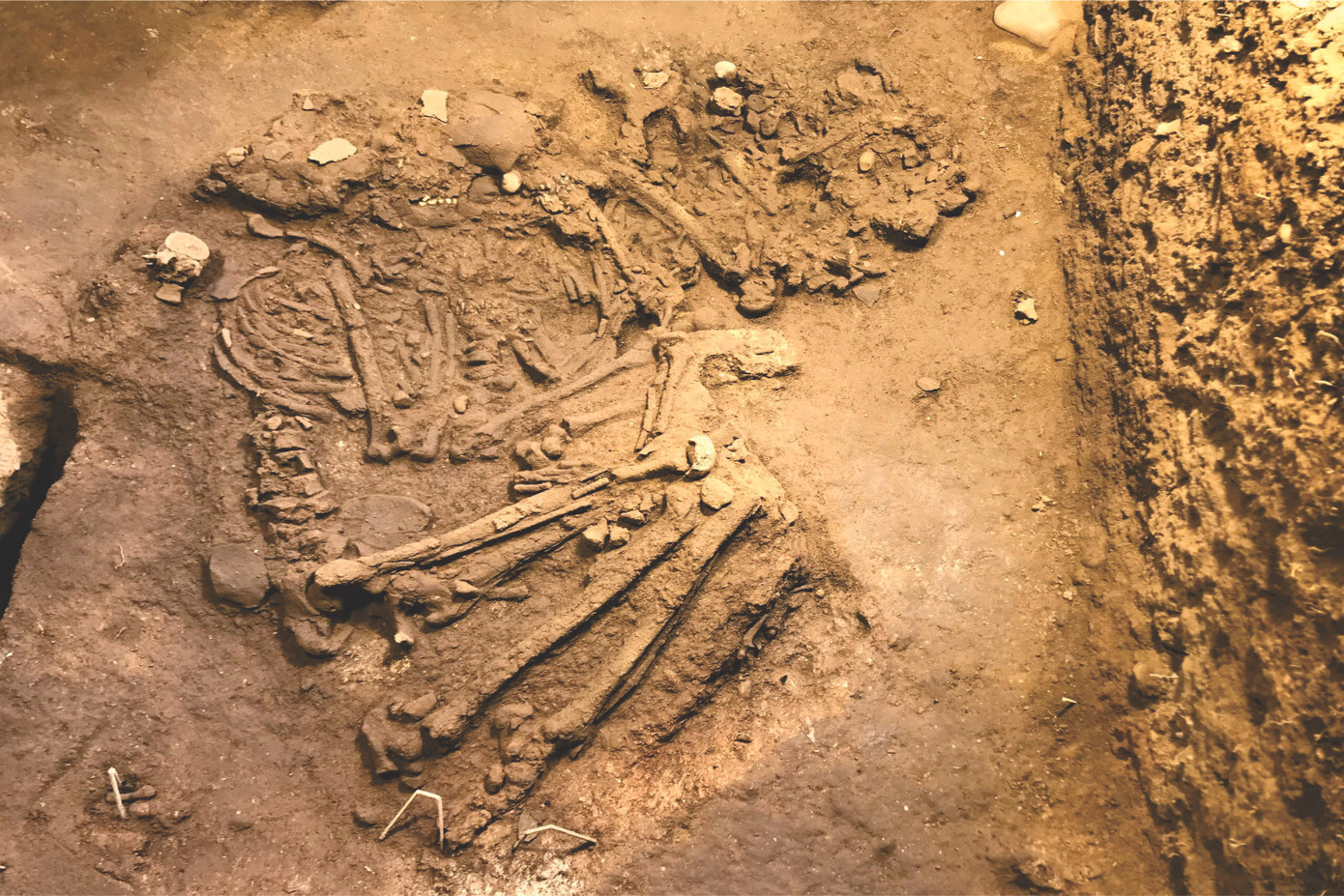 Di cốt được phát hiện tại hố khai quật H1 có niên đại cách đây khoảng 10.000 năm. Di cốt được phát hiện tại hố khai quật H1 có niên đại cách đây khoảng 10.000 năm.