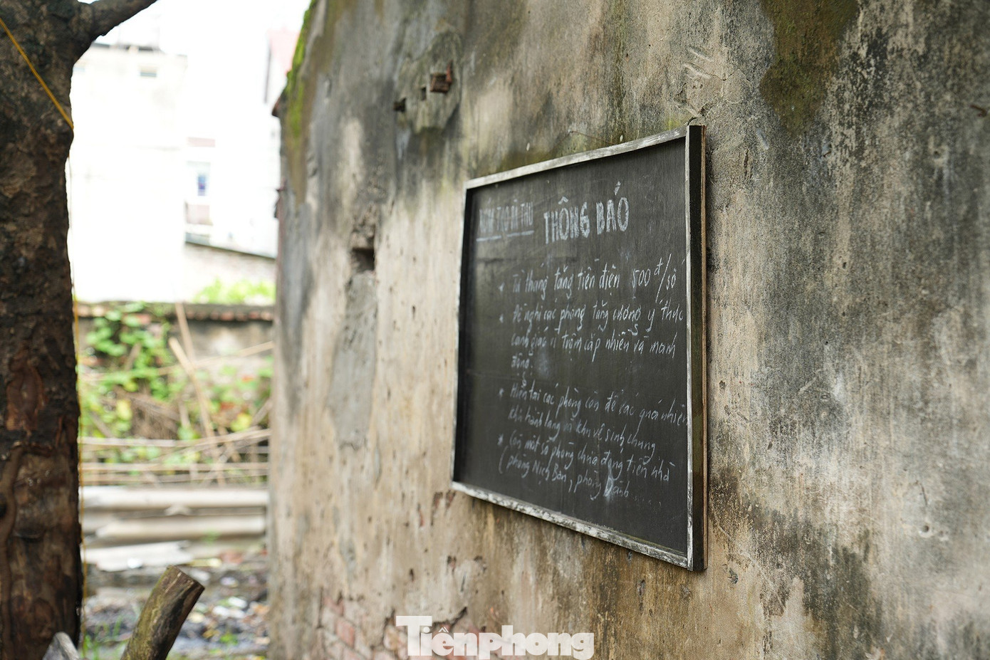 Từng tấm bảng giới thiệu về khu trọ, thông báo của khu trọ được chính thành viên đoàn làm phim chuẩn bị, vẽ và viết.