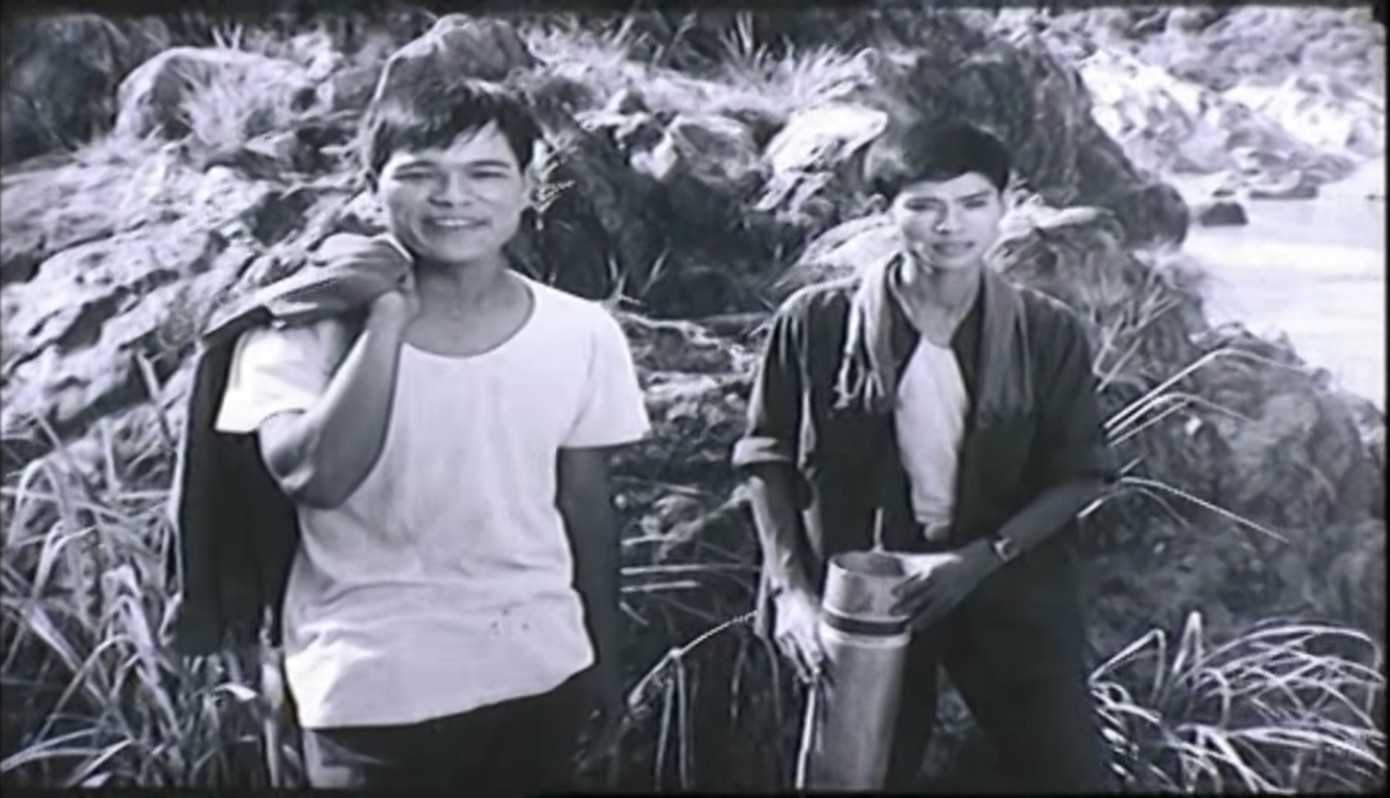 Phim Từ một cánh rừng được chọn chiếu mở đầu đợt phim kỷ niệm 78 năm ngày Quốc khánh 2/9.