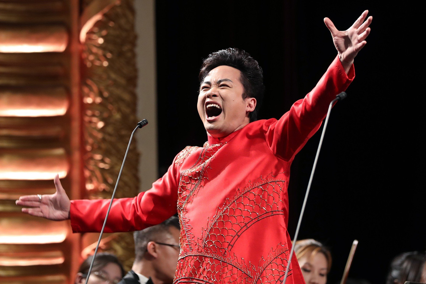 Đất nước lời ru qua tiếng hát của ca sĩ Tùng Dương. Đất nước lời ru qua tiếng hát của ca sĩ Tùng Dương.