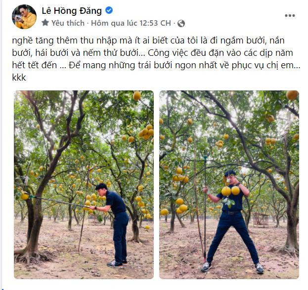 Hồng Đăng thích thú khoe vườn trái cây trĩu quả.