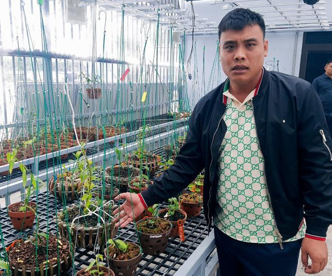 Bùi Thanh Giang thời điểm giao dịch lan đột biến với giá hàng trăm tỉ đồng - Ảnh: Trọng Đức (Người Lao Động)