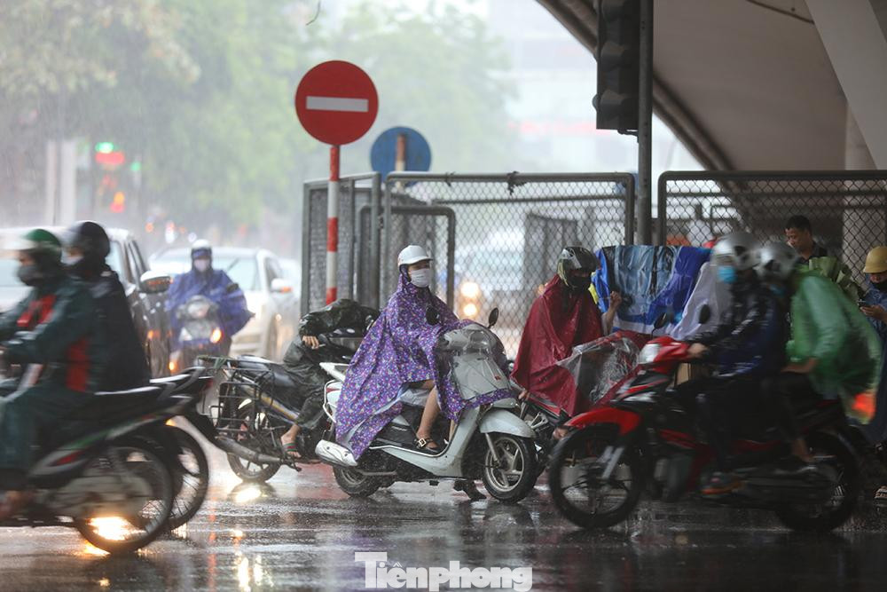 Trú mưa dưới gầm cầu vượt Ngã Tư Sở Trú mưa dưới gầm cầu vượt Ngã Tư Sở