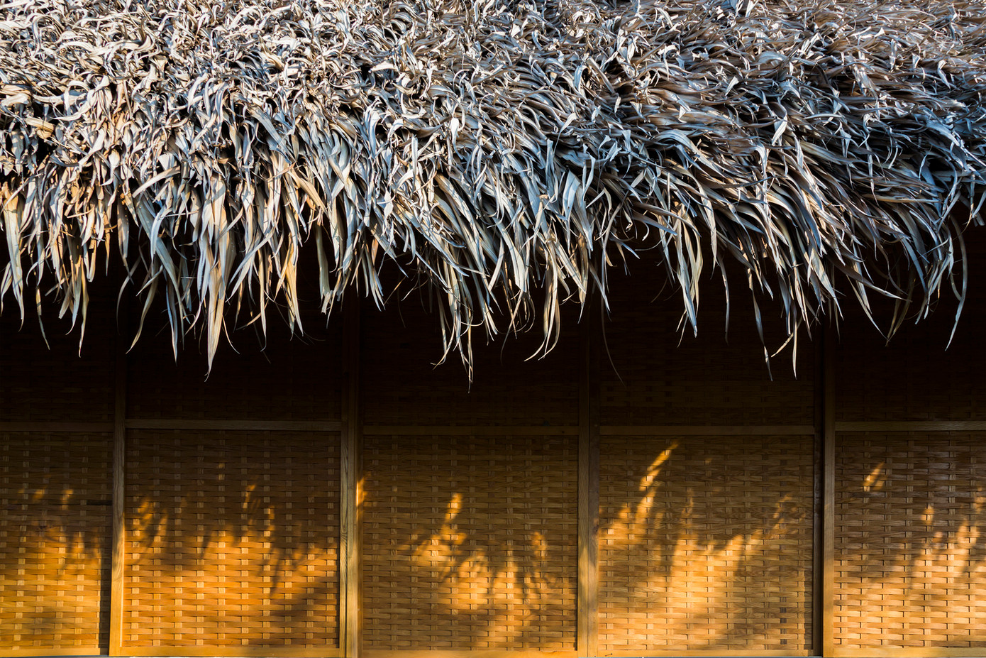 Điểm nhấn của ngôi nhà đến từ việc sử dụng chất liệu thôn quê dân dã. Trong đó, mái lá cọ được sử dụng như một lớp cách nhiệt bên ngoài, gợi sự gần gũi với những ngôi nhà miền Tây khác.