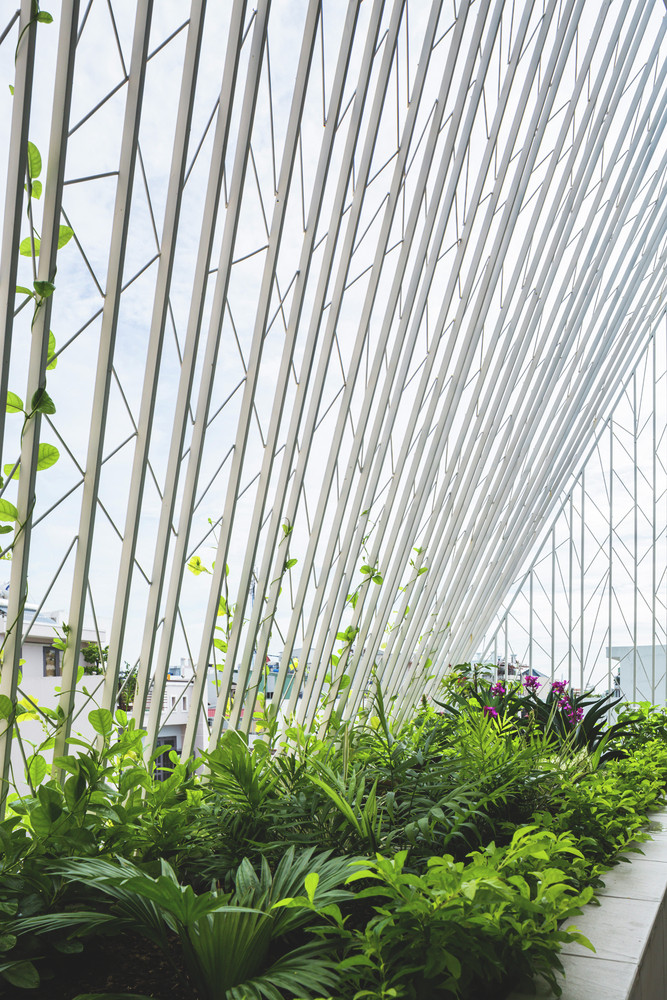 Không chỉ thông gió, ngôi nhà còn bố trí cây xanh ở khắp nơi để con người được gần gũi với thiên nhiên nhiều hơn.