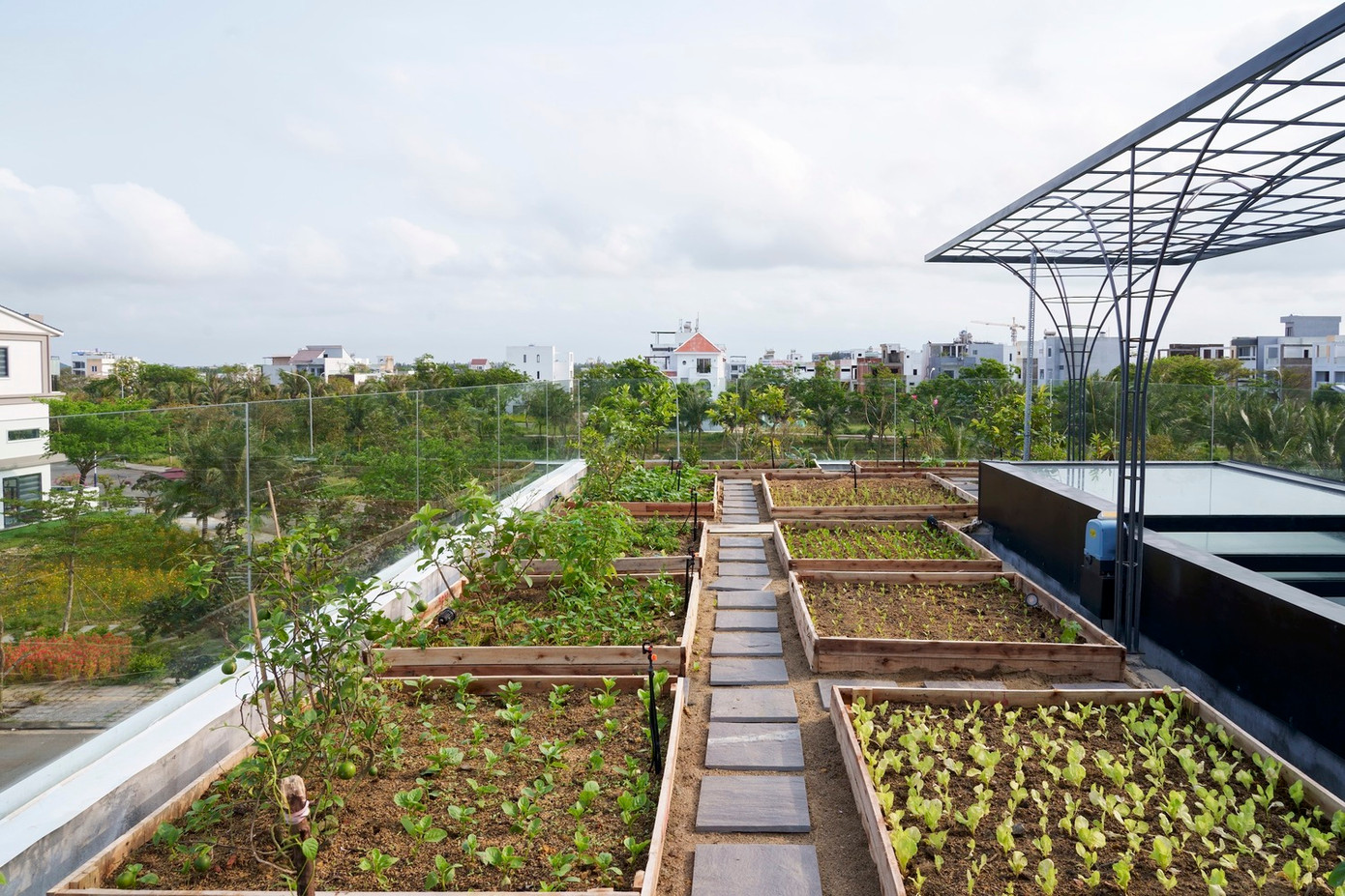 Kiến trúc sư sử dụng toàn bộ mái nhà để trồng rau hữu cơ, rau gia vị và cây ăn quả nhỏ. Ngoài ra, vườn rau còn có tác dụng tuyệt vời trong việc chống nóng cho các tầng dưới và chống nứt bê tông do nhiệt độ ngày đêm thay đổi cũng như khi thời tiết thay đổi đột ngột.