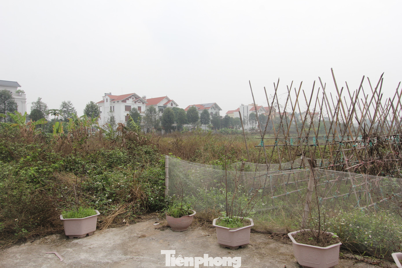 Nằm vị trí đắc địa của cửa ngõ phía Nam TP Bắc Ninh tiếp giáp nhiều tuyến đường lớn và Bệnh viện Đa khoa tỉnh, dự án KĐT Nam Võ Cường do Công ty TNHH Đại Hoàng Long làm chủ đầu tư từng được kì vọng là điểm nhấn của bộ mặt đô thị xứ Kinh Bắc.