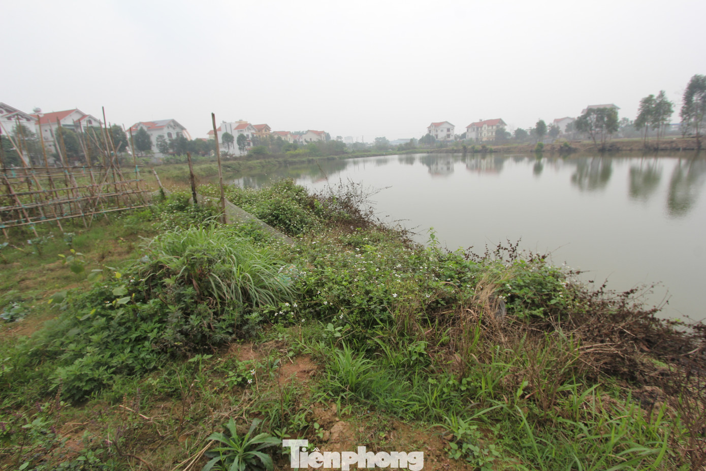 Hồ điều hòa, nơi được coi là trái tim của KĐT vẫn chỉ là hồ nước bỏ không, cây cỏ mọc dại um tùm, rắn rết đầy rẫy. Nhiều cư dân bức xúc cho biết, họ mua đất vì được quảng cáo là có view hồ, nhưng gần 20 năm rồi mà hồ đâu chẳng thấy chỉ thấy ao nước như hố bom thời chống Mỹ.