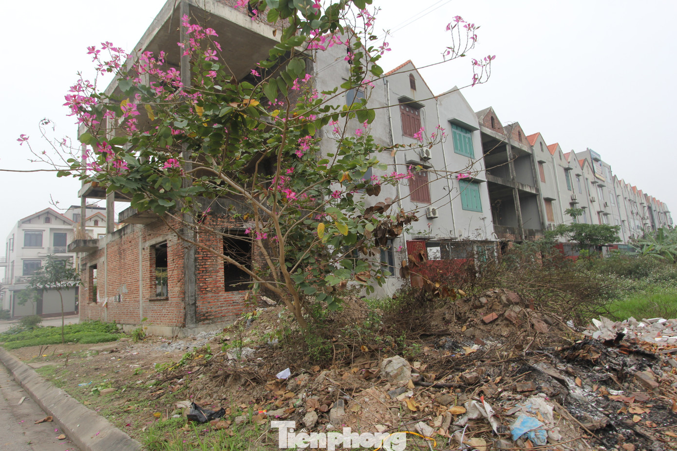 Vỉa hè của KĐT, nơi có thì bị “cày” lên để trồng rau, nơi không có thì thành bãi tập kết rác thải, bốc mùi xú uế.