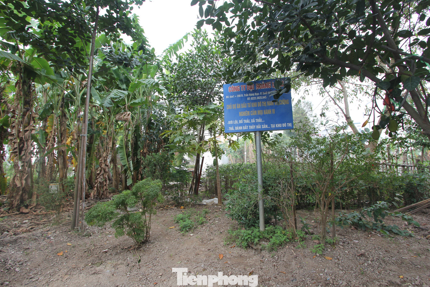 Mặc dù là KĐT điểm nhấn, nhưng suốt những năm qua, chủ đầu tư liên tục bị người dân chỉ trích về việc “quên” xây hạ tầng. Ghi nhận thực tế, khu vực công viên, vườn hoa nội khu vẫn chỉ bãi trồng chuối, trồng cây ăn quả.