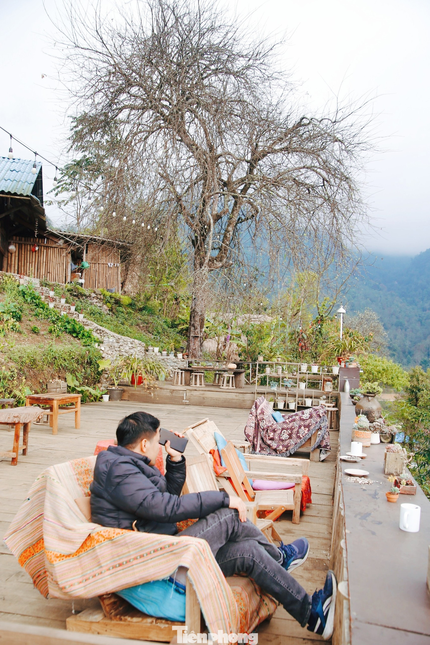 Mỗi độ hoa sơn tra nở, đi khắp các bản người Mông, du khách lúc nào cũng được hít căng lồng ngực hương thơm ngọt ngào mà thanh mát như hương vị của đại ngàn đang hòa trong gió. (Ảnh: Lộc Liên)