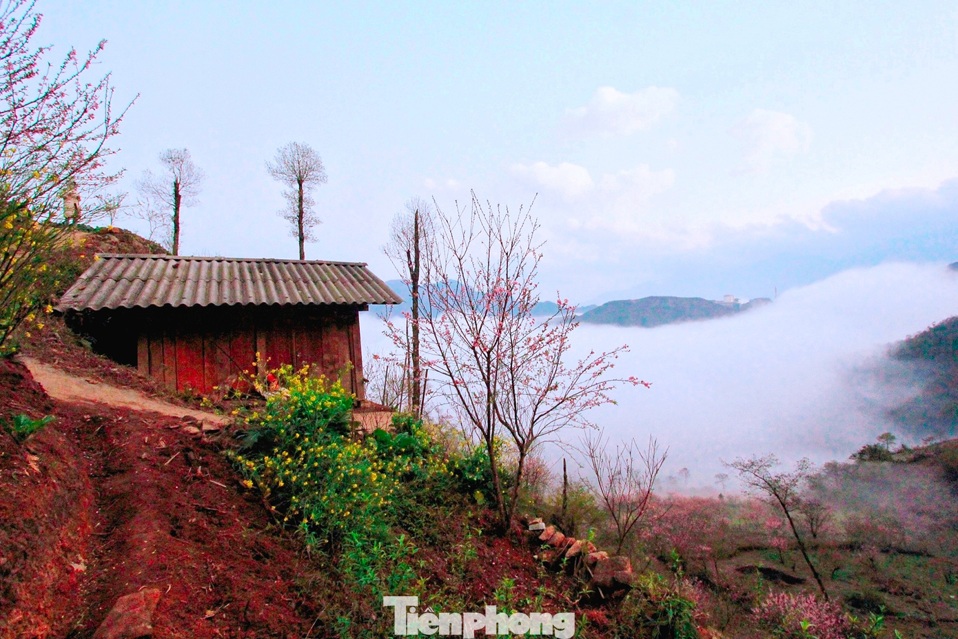 Trước cảnh sắc thần tiên này, nhiều du khách không kìm lòng nổi mà dừng chân ghi lại những khoảnh khắc "ngàn năm có một" của đất trời Tây Bắc. (Ảnh: Lộc Liên)