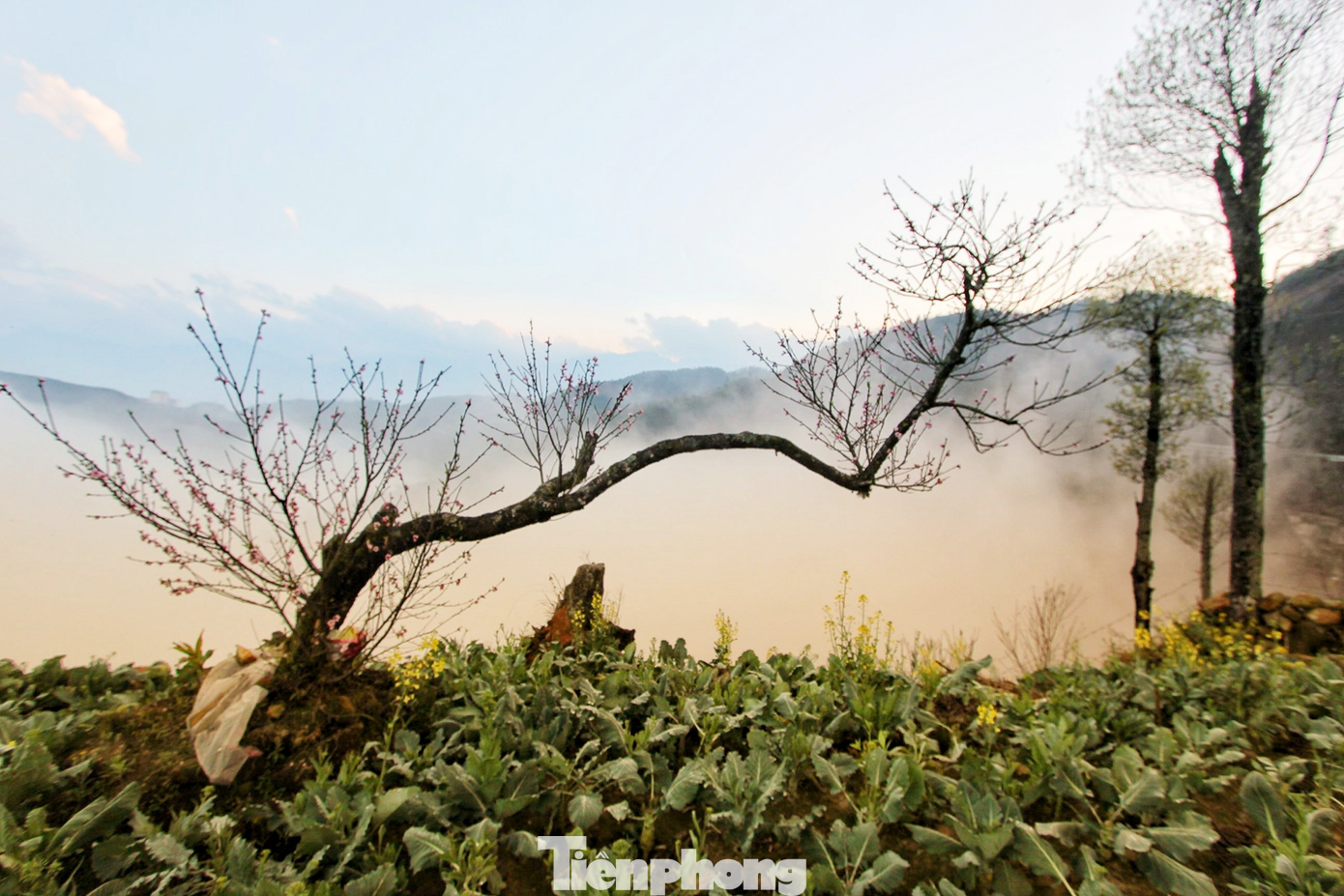 (Ảnh: Lộc Liên)