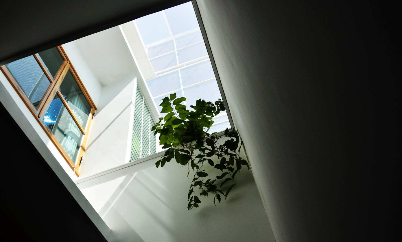 Nhờ khoảng lùi phía trước và phía sau, ngôi nhà giống như tách biệt với đường phố để chìm đắm trong sự yên tĩnh và không gian của cây xanh. Nhờ khoảng lùi phía trước và phía sau, ngôi nhà giống như tách biệt với đường phố để chìm đắm trong sự yên tĩnh và không gian của cây xanh.