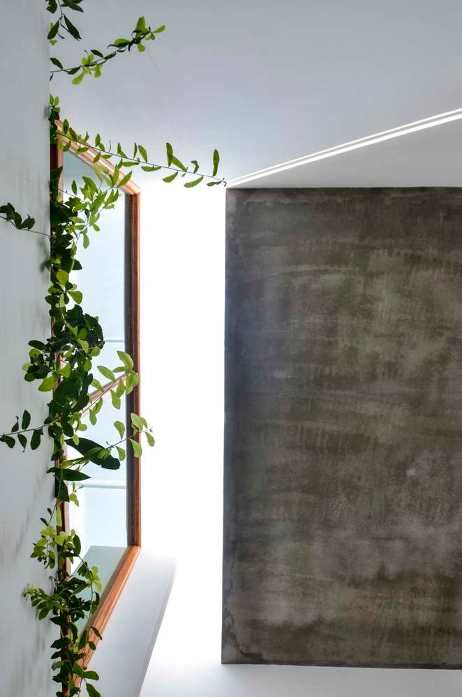 Cây xanh được bố trí ở mọi không gian trong nhà, để con người đến gần với thiên nhiên hơn. Cây xanh được bố trí ở mọi không gian trong nhà, để con người đến gần với thiên nhiên hơn.