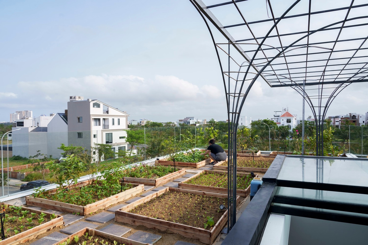 Kiến trúc sư sử dụng toàn bộ mái nhà để trồng rau hữu cơ, rau gia vị và cây ăn quả nhỏ. Ngoài ra, vườn rau còn có tác dụng tuyệt vời trong việc chống nóng cho các tầng dưới và chống nứt bê tông do nhiệt độ ngày đêm thay đổi cũng như khi thời tiết thay đổi đột ngột.