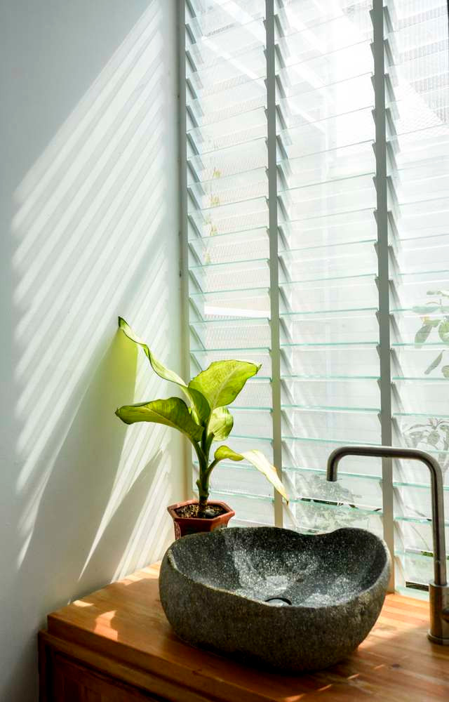 Cây xanh được bố trí ở mọi không gian trong nhà, để con người đến gần với thiên nhiên hơn. Cây xanh được bố trí ở mọi không gian trong nhà, để con người đến gần với thiên nhiên hơn.