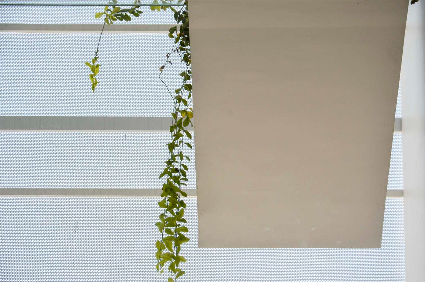 Cây xanh được bố trí ở mọi không gian trong nhà, để con người đến gần với thiên nhiên hơn. Cây xanh được bố trí ở mọi không gian trong nhà, để con người đến gần với thiên nhiên hơn.