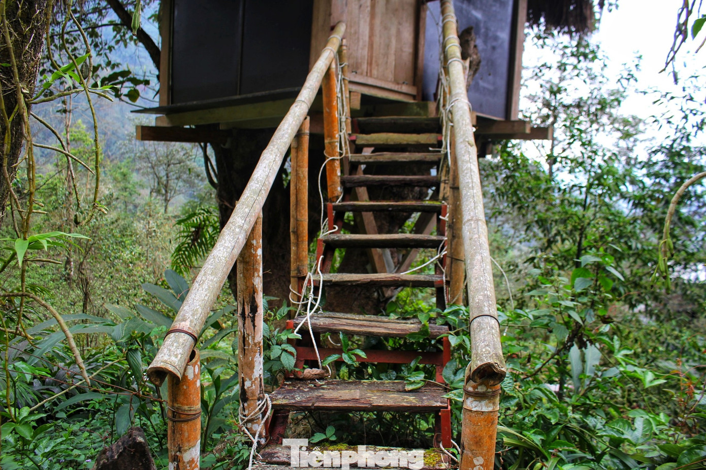 Nhà được dựng vững chắc, có hệ thống cửa sổ và cửa ra vào đảm bảo an toàn cho khách khi ở lại.