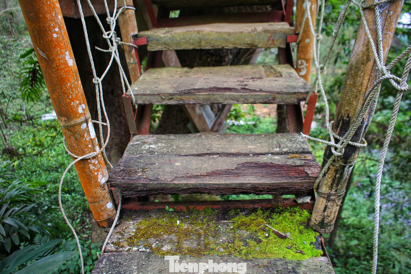 “Già làng bảo rừng là vàng, biển là bạc nên chúng mình luôn muốn bảo vệ rừng nhiều nhất có thể, chúng mình không muốn vì xây một ngôi nhà mà phá đi cả một cánh rừng nên chúng mình chọn làm nhà trên cây, cùng cây lớn lên và đi qua bốn mùa. Mình cũng hi vọng bà con ở khắp nơi nếu có làm nhà thì hãy tìm cách bảo vệ và sống chung với thiên nhiên nhiều nhất có thể”, Hẳng A Xà, một trong những người tiên phong làm du lịch và là chủ của khu nhà tổ chim ở Sin Suối Hồ chia sẻ.