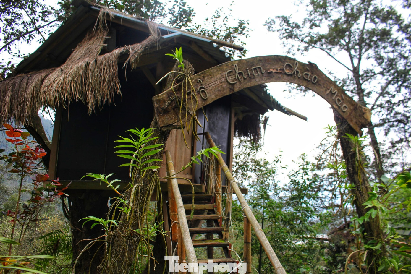 Trước mỗi ngôi nhà sẽ có cổng gỗ ghi tên các loại chim từ “Tổ chim Đại Bàng", "Tổ chim ưng", "Tổ chim chào mào",..” giống như phong tục bao đời của người Mông bản địa.