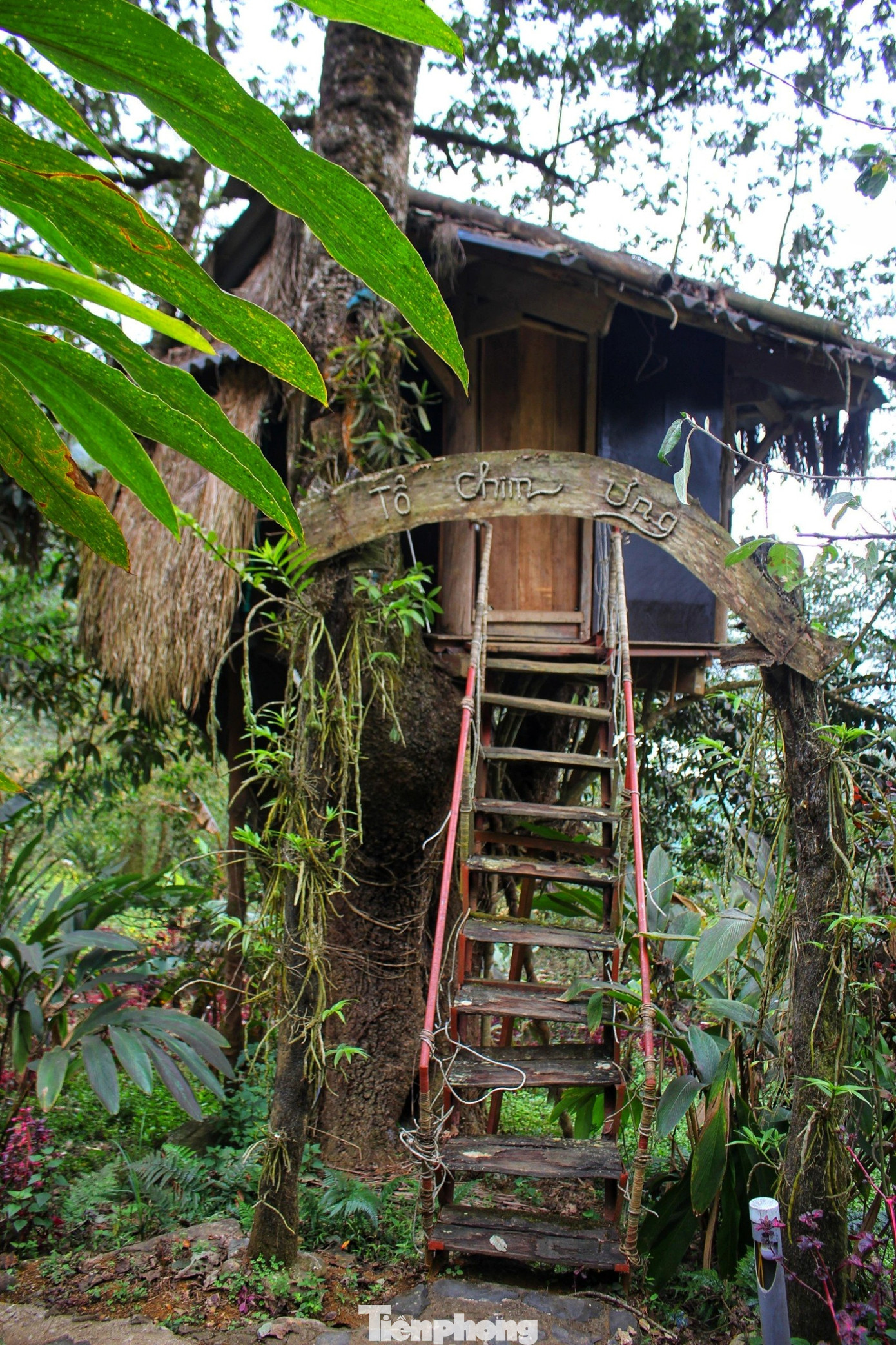 Những ngôi nhà tổ chim được làm hoàn toàn bằng vật liệu địa phương như: Đá, gỗ, mái lá, cầu thang bằng tre, nứa...