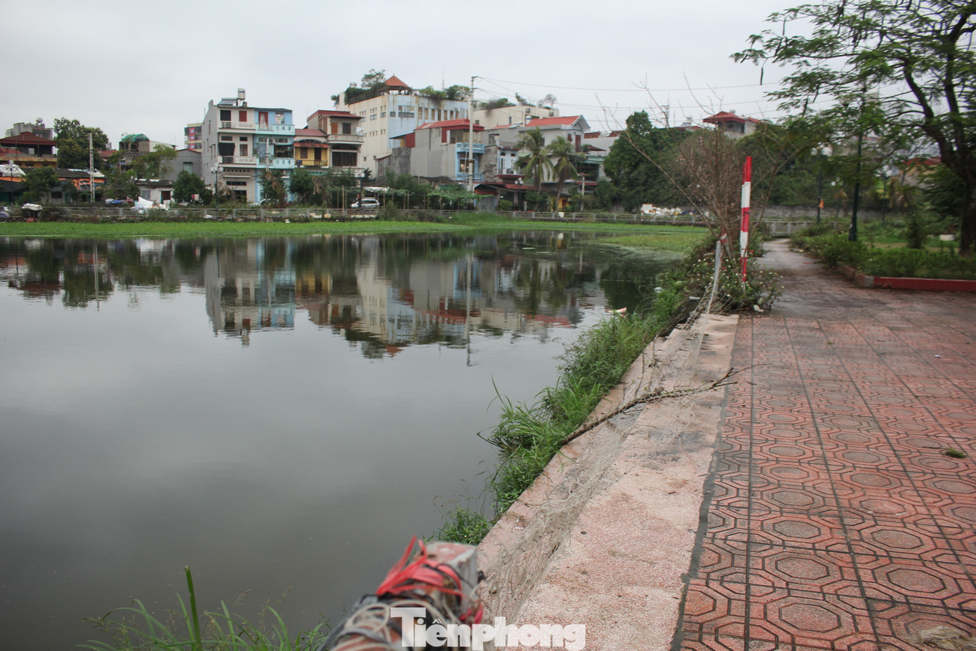 Một số người dân cho biết, trước đó, do vướng mắc trong việc giải phóng mặt bằng nên chủ đầu tư không thể đấu nối đường nước thải của các hộ dân ở khu dân cư cũ chảy vào hệ thống nước thải mới thuộc dự án. Do đó, toàn bộ nước thải của nhiều hộ dân thuộc tổ dân phố Á Lữ sống gần đó phải cho chảy trực tiếp xuống hồ điều hòa gây ô nhiễm nguồn nước, tiềm ẩn nguy cơ dịch bệnh vào mùa cao điểm sốt rét và mưa lũ. (Ảnh: Lộc Liên) Một số người dân cho biết, trước đó, do vướng mắc trong việc giải phóng mặt bằng nên chủ đầu tư không thể đấu nối đường nước thải của các hộ dân ở khu dân cư cũ chảy vào hệ thống nước thải mới thuộc dự án. Do đó, toàn bộ nước thải của nhiều hộ dân thuộc tổ dân phố Á Lữ sống gần đó phải cho chảy trực tiếp xuống hồ điều hòa gây ô nhiễm nguồn nước, tiềm ẩn nguy cơ dịch bệnh vào mùa cao điểm sốt rét và mưa lũ. (Ảnh: Lộc Liên)